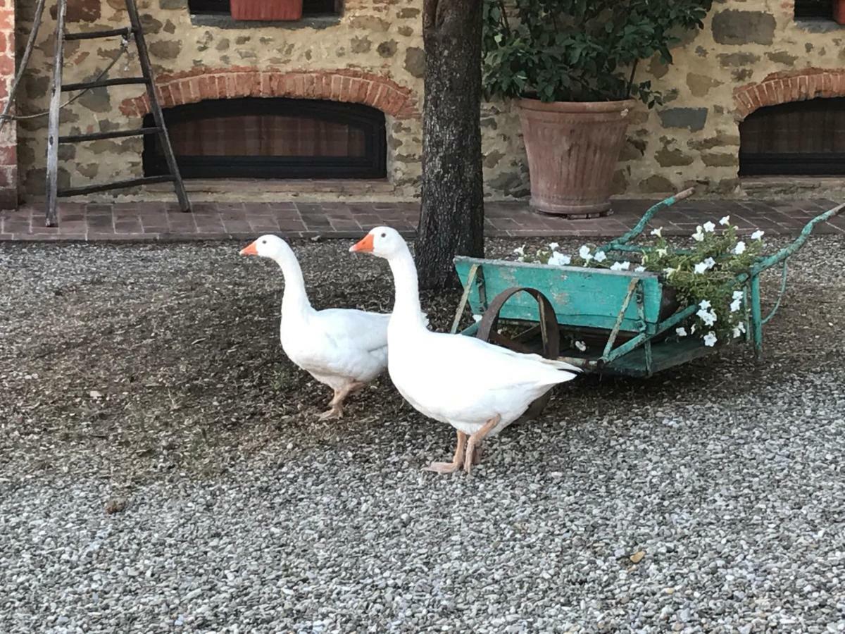 Podere La Fausta Serravalle Pistoiese Buitenkant foto